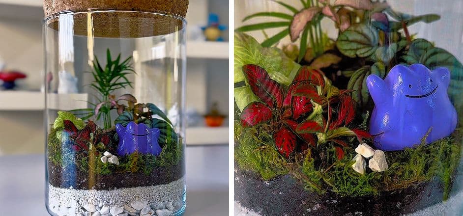 Terrarium + Mini-figure